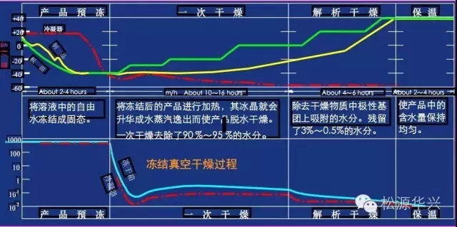做好凍干產(chǎn)品的三個關鍵要素